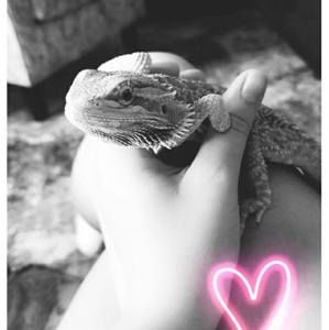 Meet your Posher, Chloe